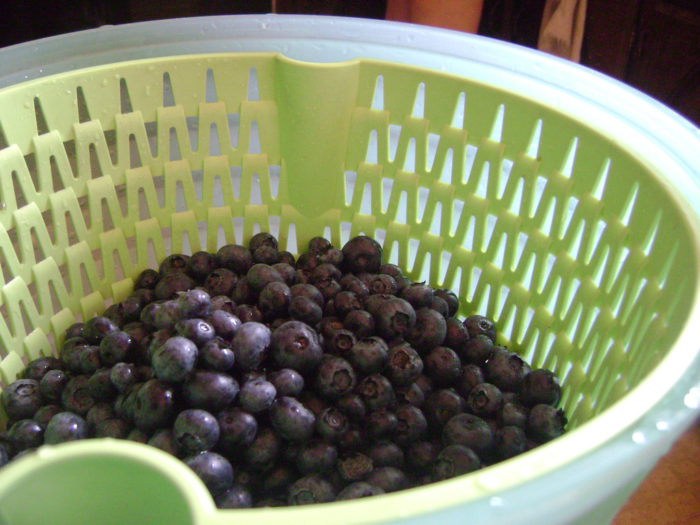 blueberries in a salad spinner