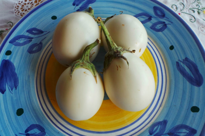 White Eggplants